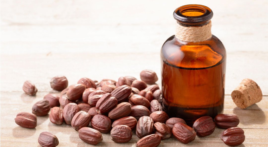ACelery jojoba-oil