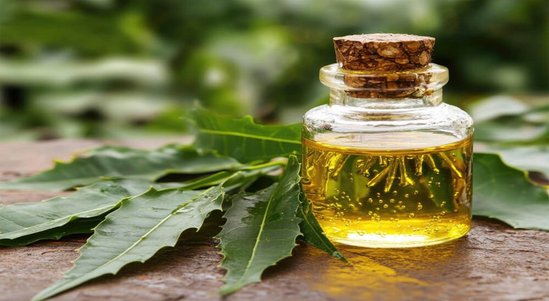 neem-oil
