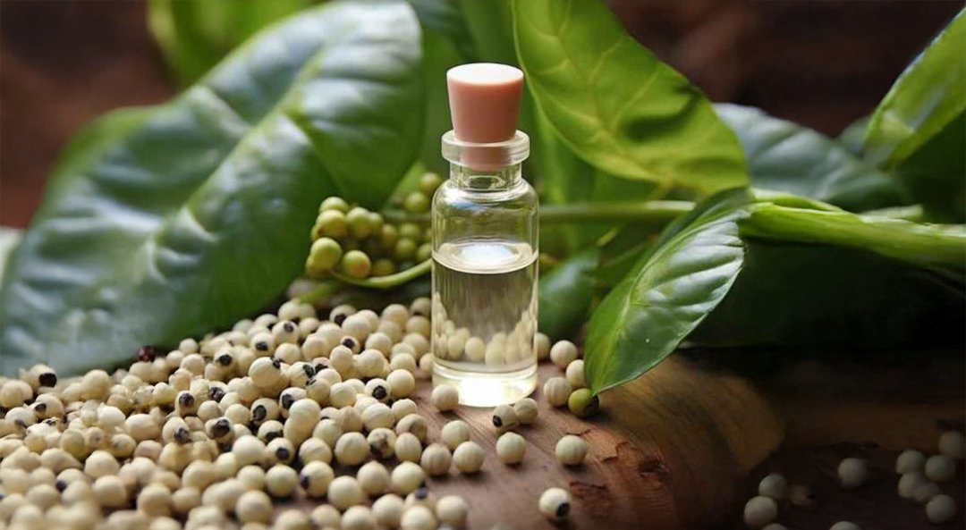 Cardamom