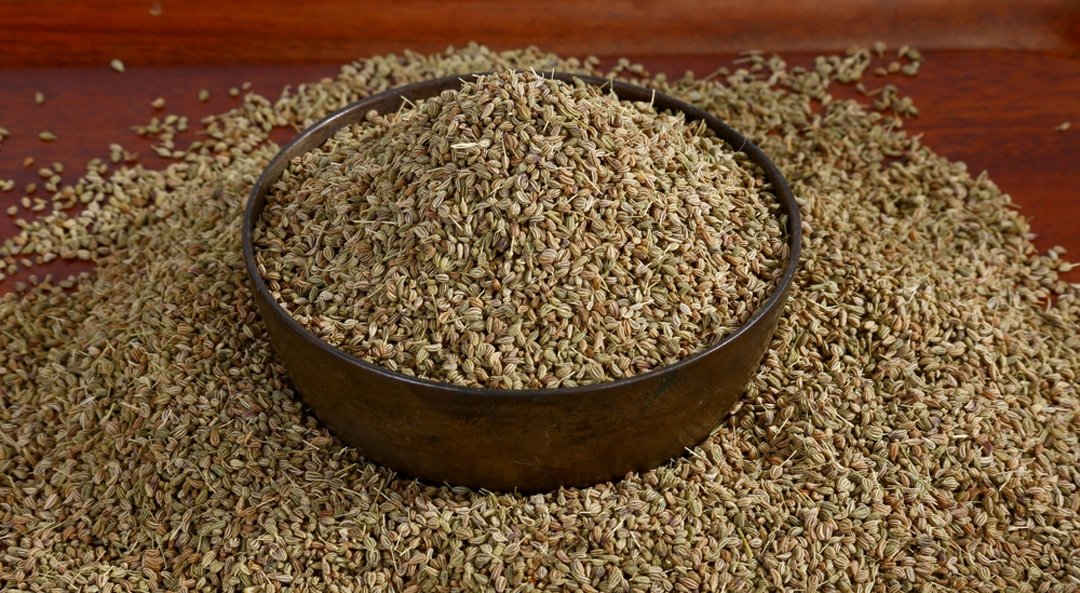 Ajwain Oil