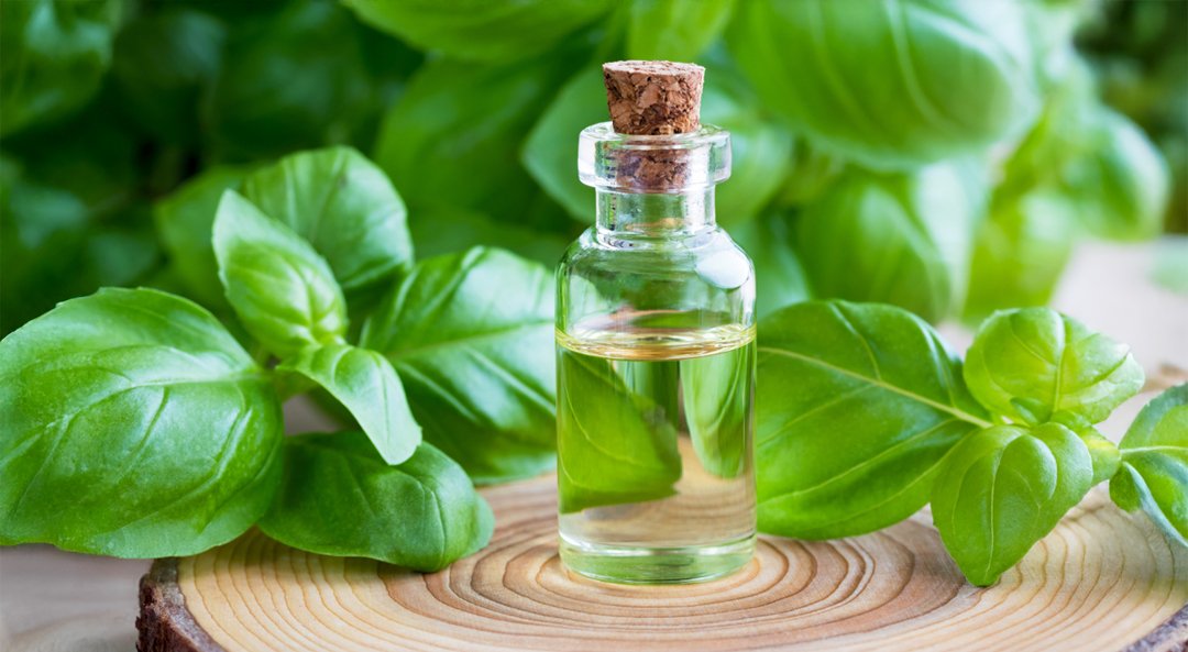 Bergamot Oil