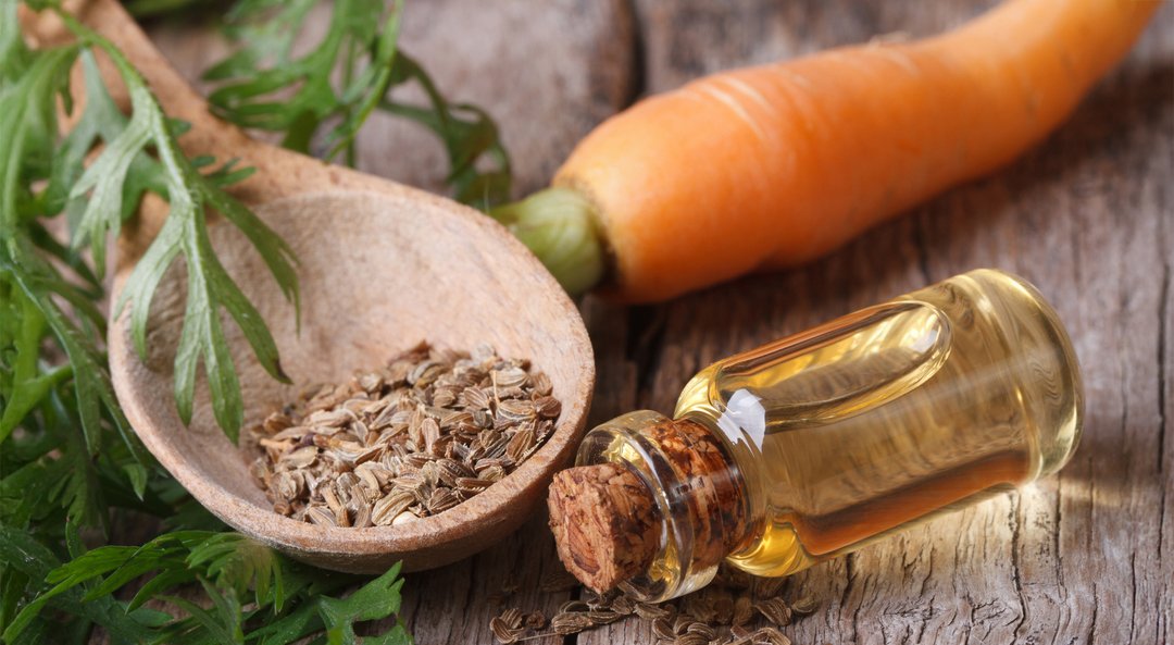 Carrot Seed Oil