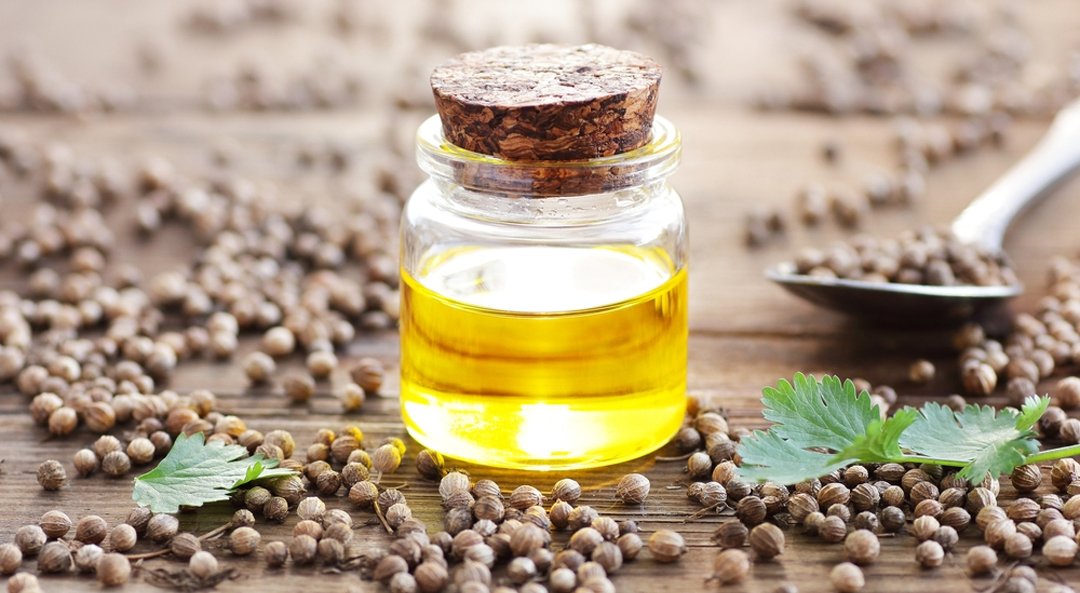 ACelery Seed Oil