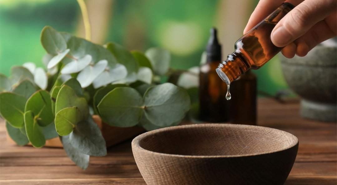 ACelery Seed Oil