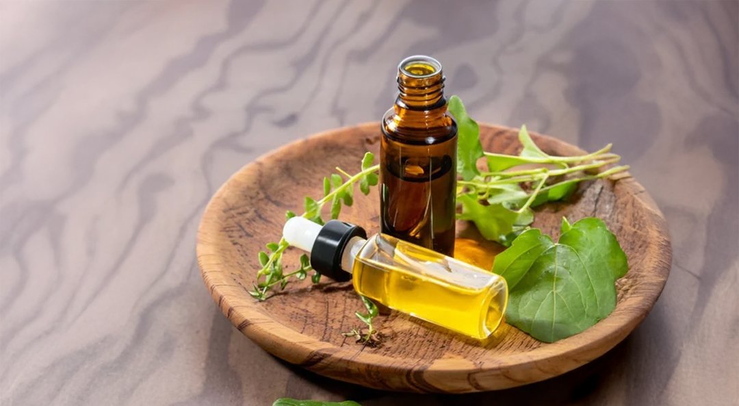 ACelery Seed Oil