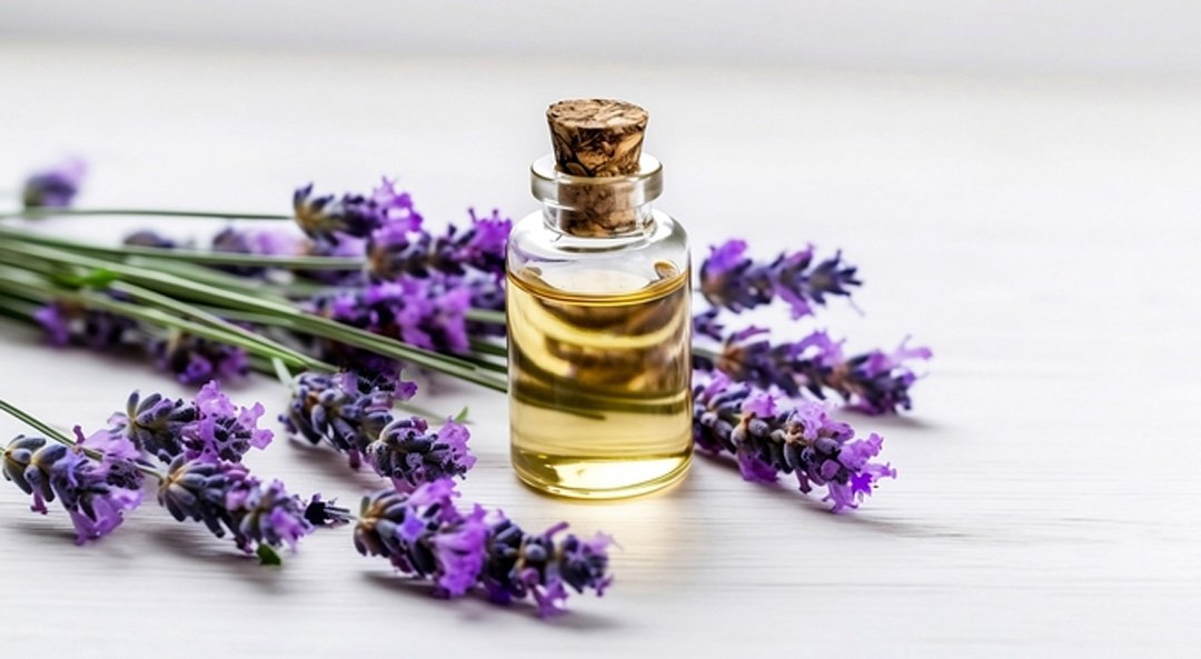 ACelery Seed Oil