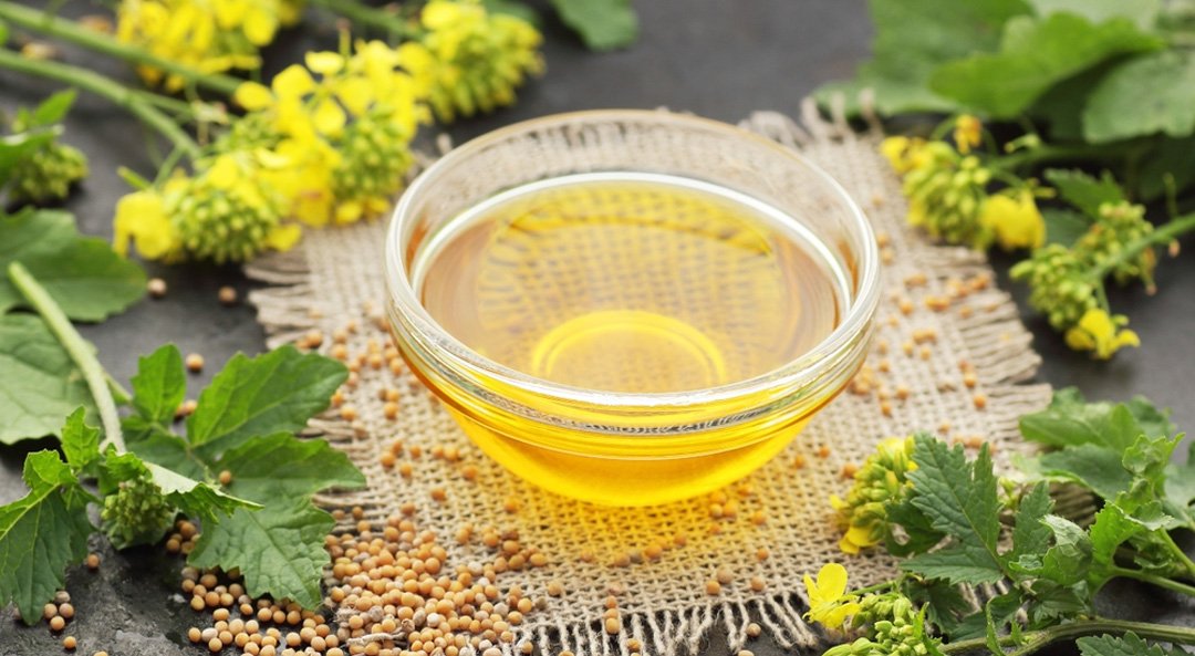 ACelery Seed Oil