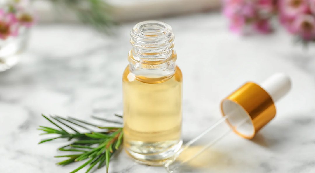 Tea Tree Oil IP/BP/EP