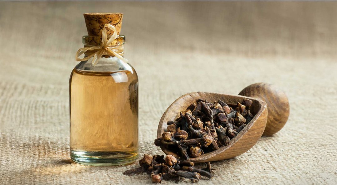 Clove Bud Oil