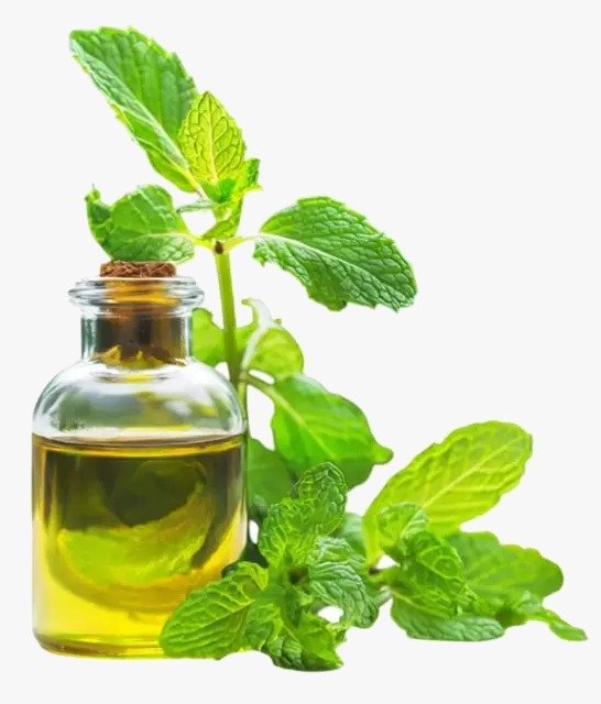 Mint Oil