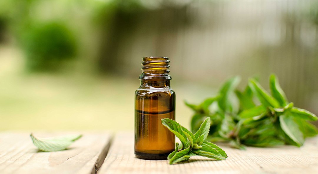 Ajwain Oil