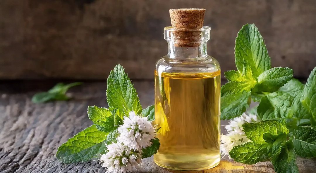 Bergamot Oil
