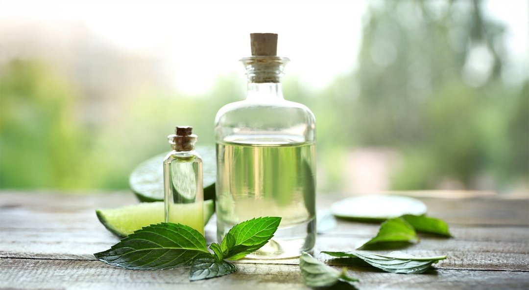 Camphor Oil