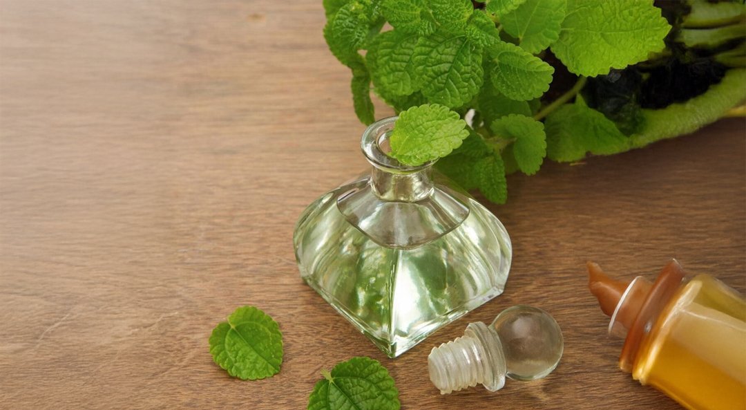 Camphor Oil