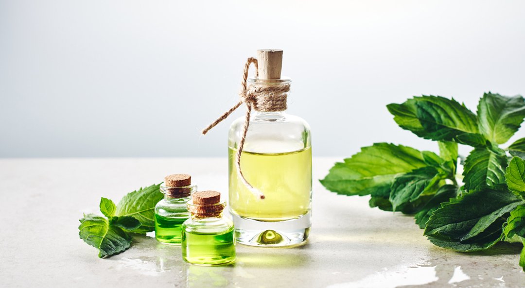 Ajwain Oil