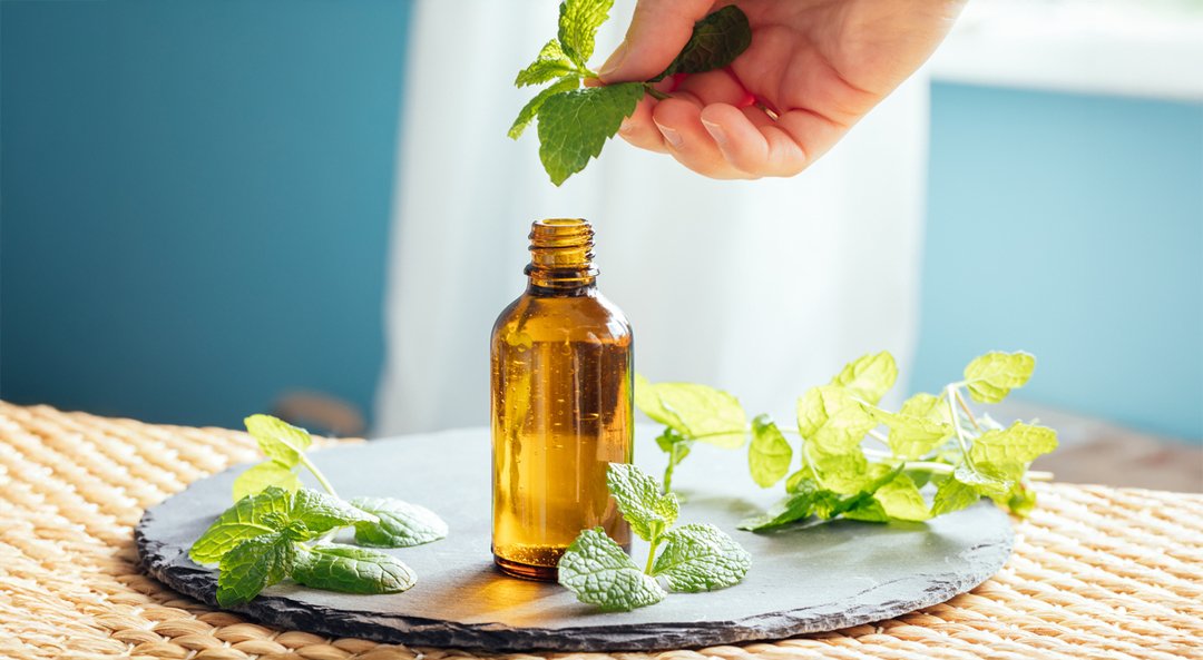 Anise Oil