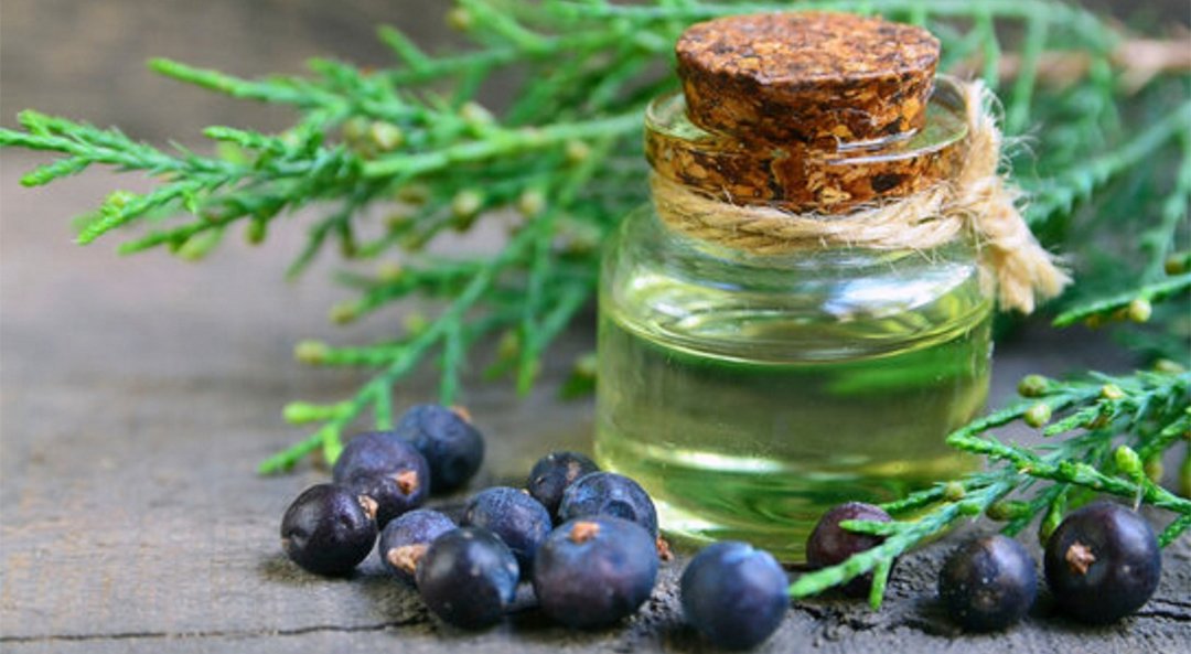Juniper Berry Oil Reconstituted